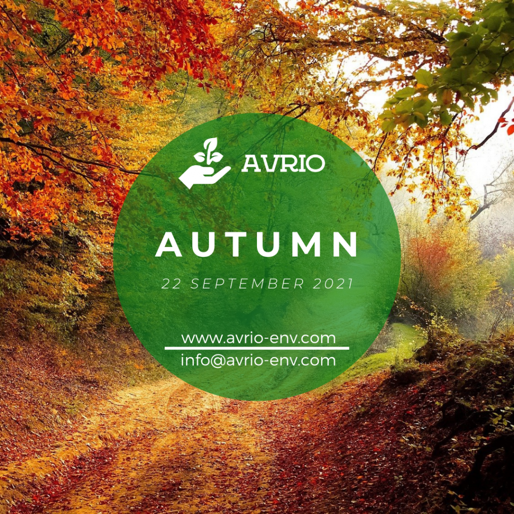 AUTUMN THE COOLING OFF SEASON visual data 5