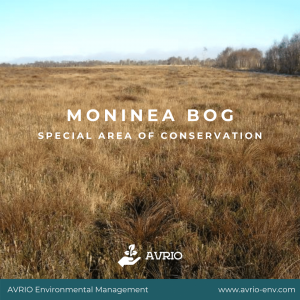 Moninea Bog SAC