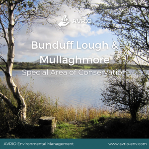 Bunduff Lough & Mullaghmore SAC