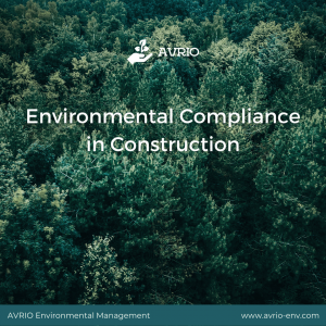 Environmental Compliance in Construction