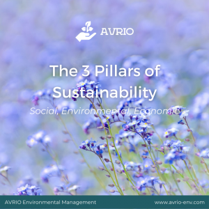 Pillars of Sustainability