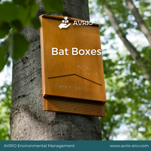 Bat Boxes