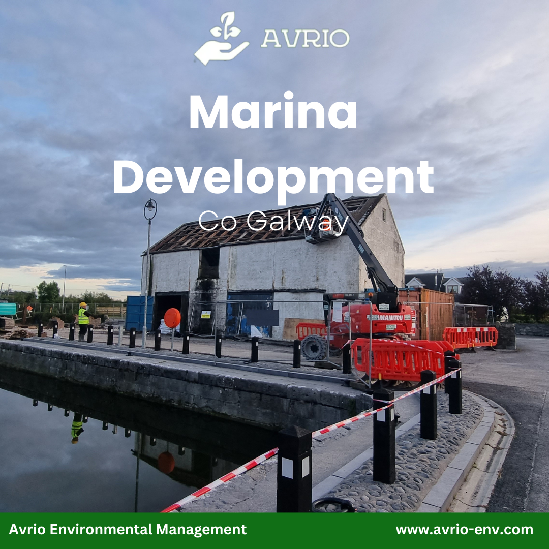 Read more about the article Marina Development