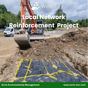 Local Network Reinforcement Project 