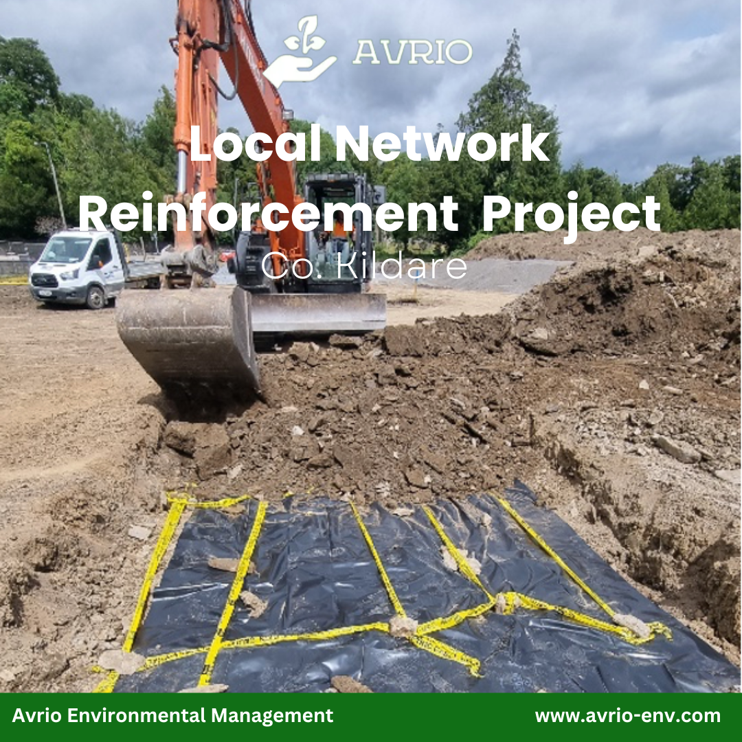 Read more about the article Local Network Reinforcement Project 