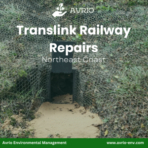 Translink Railway Repairs,<strong> </strong>Northeast coast