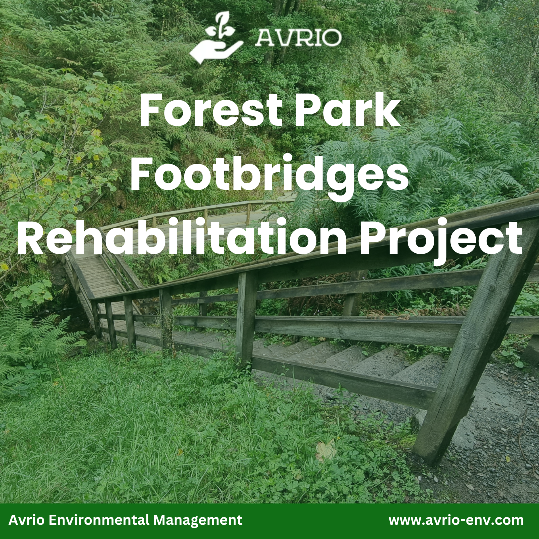 Read more about the article Forest Park Footbridges Rehabilitation Project