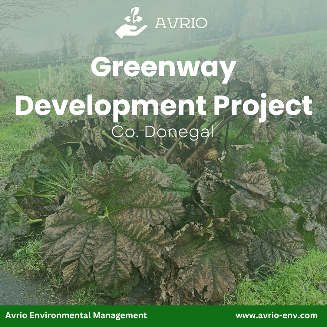 Read more about the article Greenway Development Project