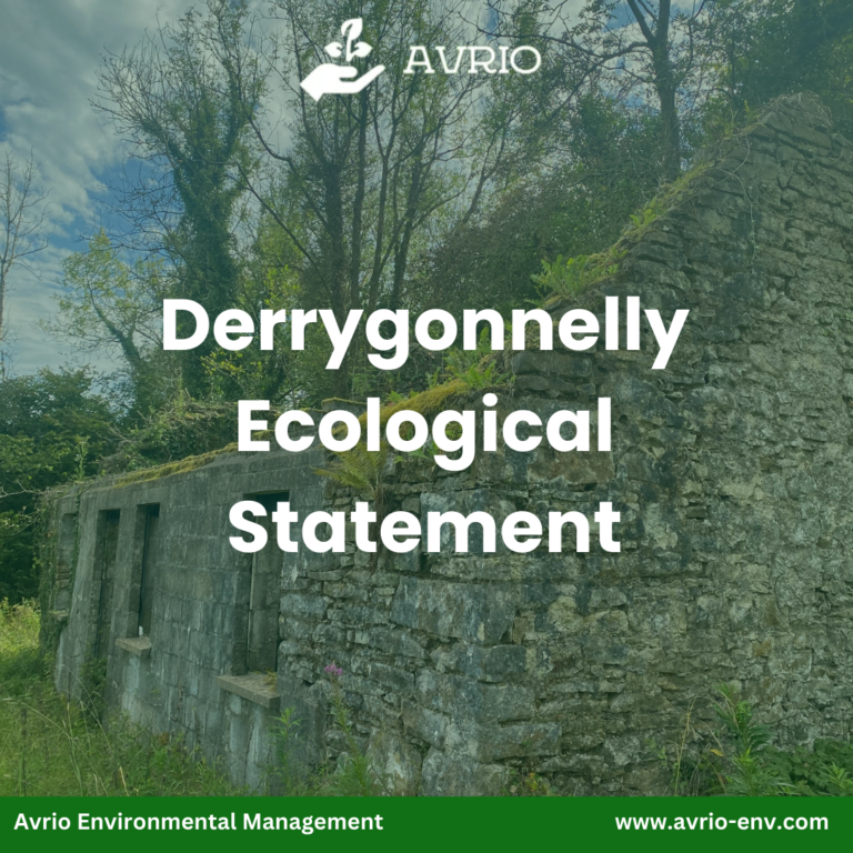 Read more about the article Derrygonnelly Ecological Statement