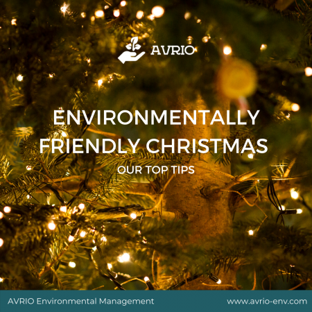 Environmentally friendly Christmas