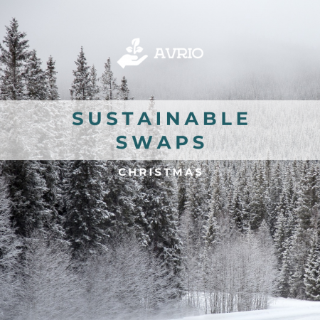 Sustainable Swaps for Christmas