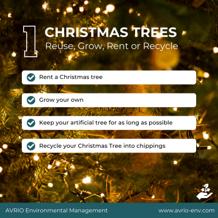 Environmentally friendly Christmas