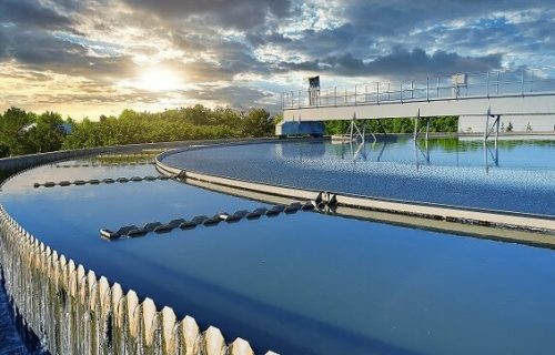 Compliance Management