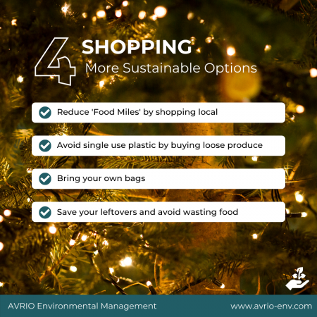 Environmentally friendly Christmas