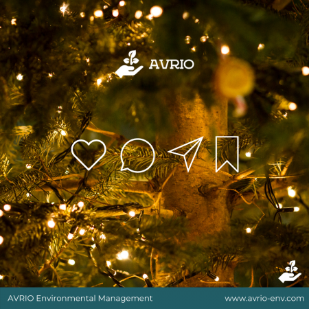 Environmentally friendly Christmas